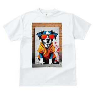 {[_[R[ TVc  j[NfUCfB[X t@  t vg lJWA 킢 lԗp Mtg I ҏ΍ TOX {[_[R[ p[J[