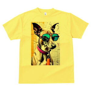 EBybg TVc  j[NfUCfB[X t@  t vg lJWA 킢 lԗp Mtg I ҏ΍ TOX EBybg  [h