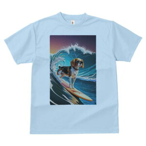 LoA TVc  j[NfUCfB[X t@  t vg lJWA 킢 lԗp Mtg I ҏ΍ g LoA T[tB C TOX