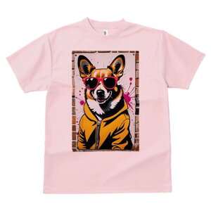 R[M[ TVc  j[NfUCfB[X t@  t vg lJWA 킢 lԗp Mtg I ҏ΍ TOX R[M[ p[J[ Xg[gA[g 