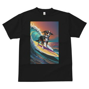 ~bNX TVc  j[NfUCfB[X t@  t vg lJWA 킢 lԗp Mtg I ҏ΍ g ~bNX T[tB C TOX