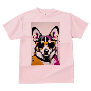 R[M[ TVc  j[NfUCfB[X t@  t vg lJWA 킢 lԗp Mtg I ҏ΍ TOX R[M[ t@bV Xg[gA