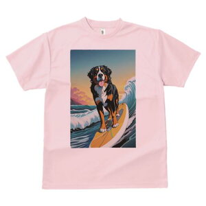 o[j[Y}EehbO TVc  j[NfUCfB[X t@  t vg lJWA 킢 lԗp Mtg I ҏ΍ T[tB o[j[Y}E