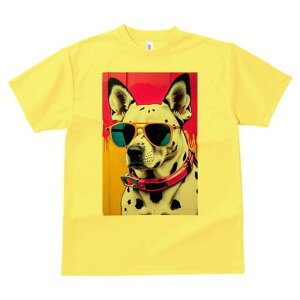 _VA TVc  j[NfUCfB[X t@  t vg lJWA 킢 lԗp Mtg I ҏ΍ TOX _VA 