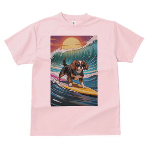 LoA TVc  j[NfUCfB[X t@  t vg lJWA 킢 lԗp Mtg I ҏ΍ g LoA T[tB C z