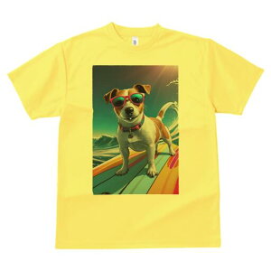 WbNbZeA TVc  j[NfUCfB[X t@  t vg lJWA 킢 lԗp Mtg I ҏ΍ TOX WbNbZe