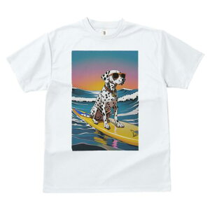 _VA TVc  j[NfUCfB[X t@  t vg lJWA 킢 lԗp Mtg I ҏ΍ T[tB _VA C g TOX