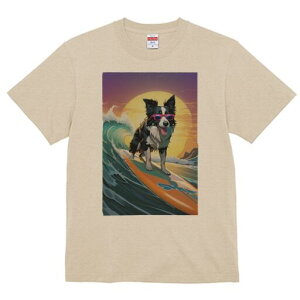 {[_[R[ TVc  j[NfUCfB[X t@  t vg lJWA 킢 lԗp Mtg I ҏ΍ g {[_[R[ T[tB TOX 