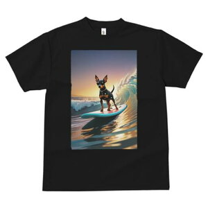 ~j`AsV[ TVc  j[NfUCY LbY t@  t vg lJWA 킢 lԗp Mtg I ҏ΍ T[tB ~j`AsV