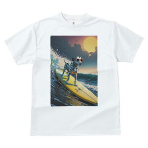 _VA TVc  j[NfUCfB[X t@  t vg lJWA 킢 lԗp Mtg I ҏ΍ T[tB _VA g C z