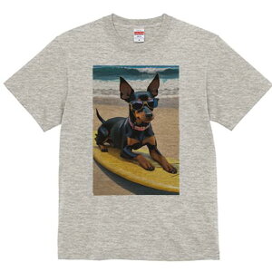 ~j`AsV[ TVc  j[NfUCfB[X t@  t vg lJWA 킢 lԗp Mtg I ҏ΍ TOX ~j`AsV[ 