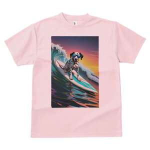 _VA TVc  j[NfUCfB[X t@  t vg lJWA 킢 lԗp Mtg I ҏ΍ g _VA T[tB C 