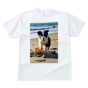 {[_[R[ TVc  j[NfUCfB[X t@  t vg lJWA 킢 lԗp Mtg I ҏ΍ r[` {[_[R[ C  Lk