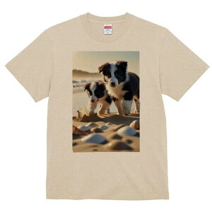 {[_[R[ TVc  j[NfUCfB[X t@  t vg lJWA 킢 lԗp Mtg I ҏ΍ r[` {[_[R[ C  Lk