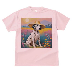 _VA TVc  j[NfUCfB[X t@  t vg lJWA 킢 lԗp Mtg I ҏ΍ Xq _VA Ԕ i 