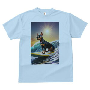 ~j`AsV[ TVc  j[NfUCY LbY t@  t vg lJWA 킢 lԗp Mtg I ҏ΍ T[tB ~j`AsV