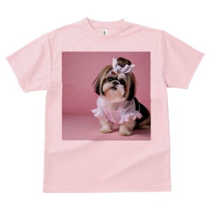 V[Y[ TVc  j[NfUCfB[X t@  t vg lJWA 킢 lԗp Mtg I ҏ΍ RX`[ V[Y[