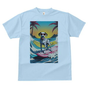 _VA TVc  j[NfUCfB[X t@  t vg lJWA 킢 lԗp Mtg I ҏ΍ T[tB _VA C  r[`