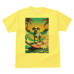 _VA TVc  j[NfUCfB[X t@  t vg lJWA 킢 lԗp Mtg I ҏ΍ T[tB _VA C  r[`