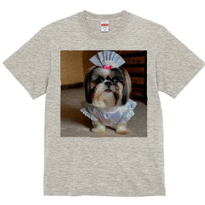 V[Y[ TVc  j[NfUCfB[X t@  t vg lJWA 킢 lԗp Mtg I ҏ΍ Ch V[Y[ Xq {