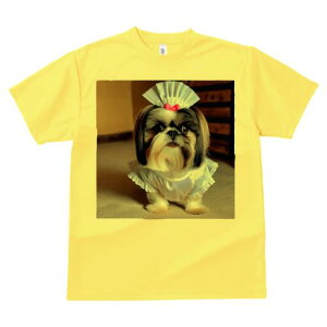 V[Y[ TVc  j[NfUCfB[X t@  t vg lJWA 킢 lԗp Mtg I ҏ΍ Ch V[Y[ Xq {