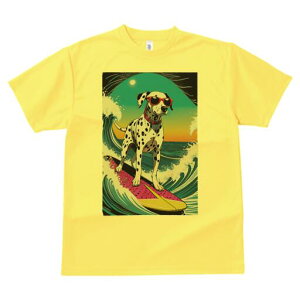 _VA TVc  j[NfUCfB[X t@  t vg lJWA 킢 lԗp Mtg I ҏ΍ g _VA T[tB C TOX