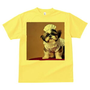 V[Y[ TVc  j[NfUCfB[X t@  t vg lJWA 킢 lԗp Mtg I ҏ΍ Xq V[Y[ 