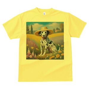 _VA TVc  j[NfUCfB[X t@  t vg lJWA 킢 lԗp Mtg I ҏ΍ Xq _VA 