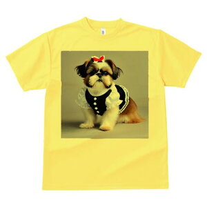 V[Y[ TVc  j[NfUCfB[X t@  t vg lJWA 킢 lԗp Mtg I ҏ΍ { V[Y[ 