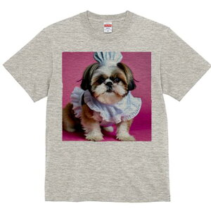 V[Y[ TVc  j[NfUCfB[X t@  t vg lJWA 킢 lԗp Mtg I ҏ΍ RbNX V[Y[ Gv