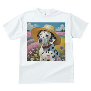 _VA TVc  j[NfUCfB[X t@  t vg lJWA 킢 lԗp Mtg I ҏ΍ Xq _VA Ԕ  i