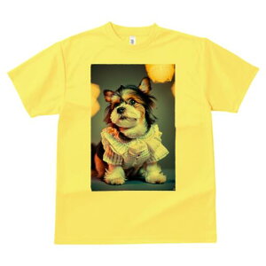 [NV[eA TVc  j[NfUCfB[X t@  t vg lJWA 킢 lԗp Mtg I ҏ΍  [NV[eA t