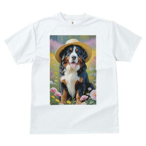 o[j[Y}EehbO TVc  j[NfUCfB[X t@  t vg lJWA 킢 lԗp Mtg I ҏ΍ Xq o[j[Y}Eeh