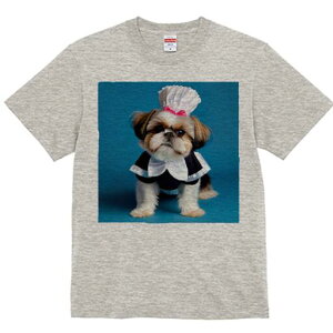 V[Y[ TVc  j[NfUCfB[X t@  t vg lJWA 킢 lԗp Mtg I ҏ΍ Ch V[Y[ Xq {