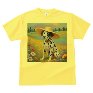 _VA TVc  j[NfUCfB[X t@  t vg lJWA 킢 lԗp Mtg I ҏ΍ Xq _VA 