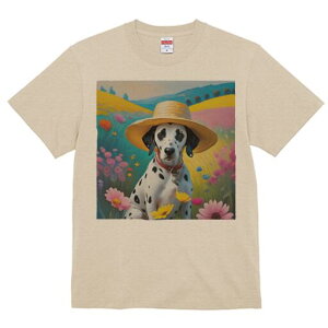 _VA TVc  j[NfUCfB[X t@  t vg lJWA 킢 lԗp Mtg I ҏ΍ Xq _VA  i