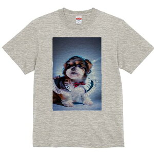 V[Y[ TVc  j[NfUCfB[X t@  t vg lJWA 킢 lԗp Mtg I ҏ΍ Ch V[Y[ {