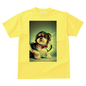 V[Y[ TVc  j[NfUCfB[X t@  t vg lJWA 킢 lԗp Mtg I ҏ΍ Ch V[Y[ {