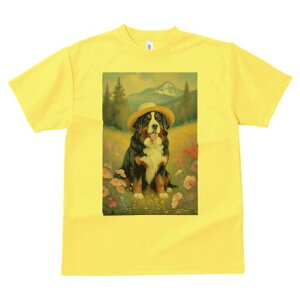 o[j[Y}EehbO TVc  j[NfUCfB[X t@  t vg lJWA 킢 lԗp Mtg I ҏ΍ Xq o[j[Y}Eeh