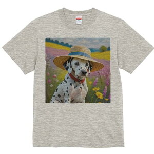 _VA TVc  j[NfUCfB[X t@  t vg lJWA 킢 lԗp Mtg I ҏ΍ Xq _VA 