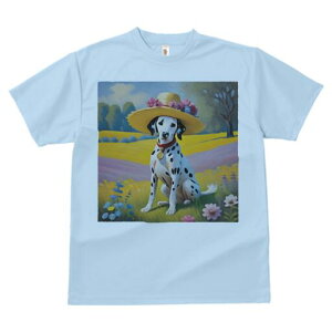 _VA TVc  j[NfUCfB[X t@  t vg lJWA 킢 lԗp Mtg I ҏ΍ Xq _VA  