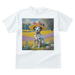 _VA TVc  j[NfUCfB[X t@  t vg lJWA 킢 lԗp Mtg I ҏ΍ Xq _VA  