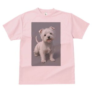 EGXgnChzCgeA TVc  j[NfUCY LbY t@  t vg lJWA 킢 lԗp Mtg I ҏ΍ EGXgnCh