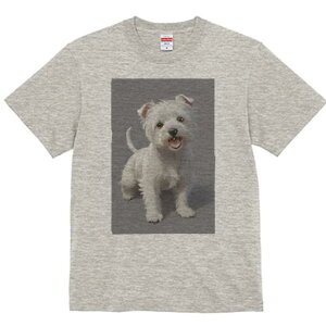 EGXgnChzCgeA TVc  j[NfUCfB[X t@  t vg lJWA 킢 lԗp Mtg I ҏ΍ EGXgnChz