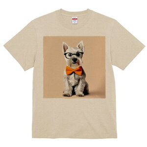 ~j`AViEU[ TVc  j[NfUCfB[X t@  t vg lJWA 킢 lԗp Mtg I ҏ΍ Kl ~j`AViEU[ 