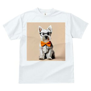 ~j`AViEU[ TVc  j[NfUCfB[X t@  t vg lJWA 킢 lԗp Mtg I ҏ΍ Kl ~j`AViEU[ 