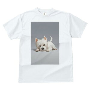 EGXgnChzCgeA TVc  j[NfUCfB[X t@  t vg lJWA 킢 lԗp Mtg I ҏ΍ 킢 EGXgnC