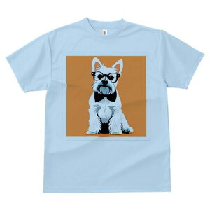 EGXgnChzCgeA TVc  j[NfUCfB[X t@  t vg lJWA 킢 lԗp Mtg I ҏ΍ Kl EGXgnC