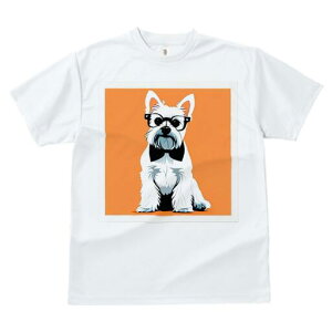 EGXgnChzCgeA TVc  j[NfUCY LbY t@  t vg lJWA 킢 lԗp Mtg I ҏ΍ Kl EGXgn