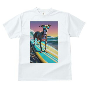 C^AO[nEh TVc  j[NfUCfB[X t@  t vg lJWA 킢 lԗp Mtg I ҏ΍ T[tB C^AO[n